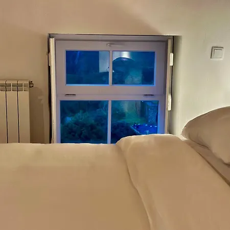 Casa Aurelia Boutique Nocleg ze śniadaniem *